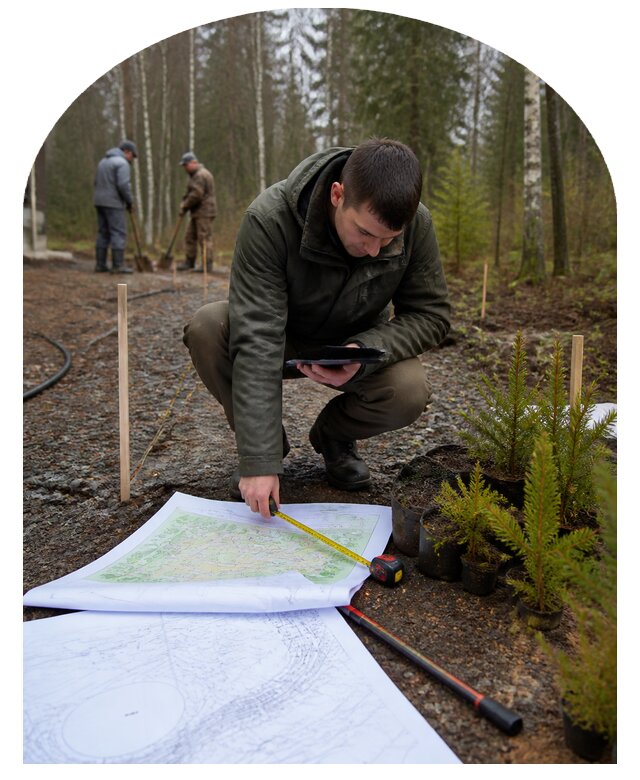 Дендроплан участка для ландшафтного проектирования в Бийске
